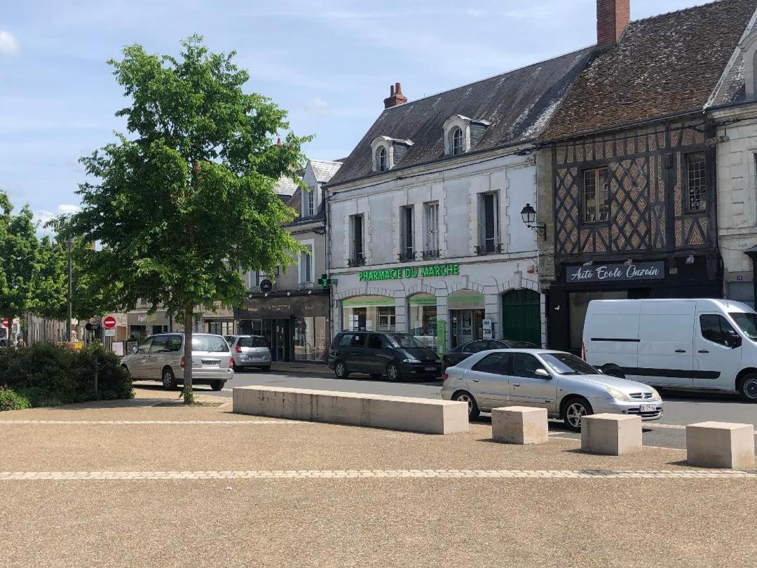 Le Clos Fleuri - Chambres D'Hotes Onzain Kültér fotó